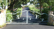 Ornamental Iron