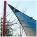 Shade Sail.